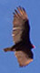 click for detail